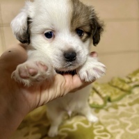 Reserviert: Barney 💙